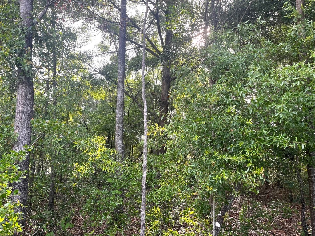 0000 NE 56th Street High Springs FL 32643 GC531259 image21