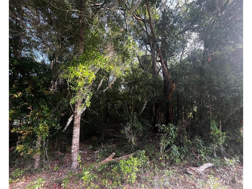 0000 NE 56th Street High Springs FL 32643 GC531259 image3