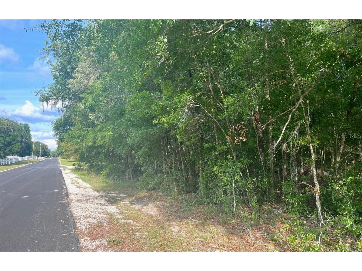 0000 NE 56th Street High Springs FL 32643 GC531259 image6