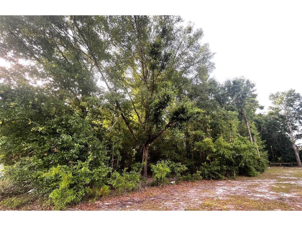 0000 NE 56th Street High Springs FL 32643 GC531259 image7