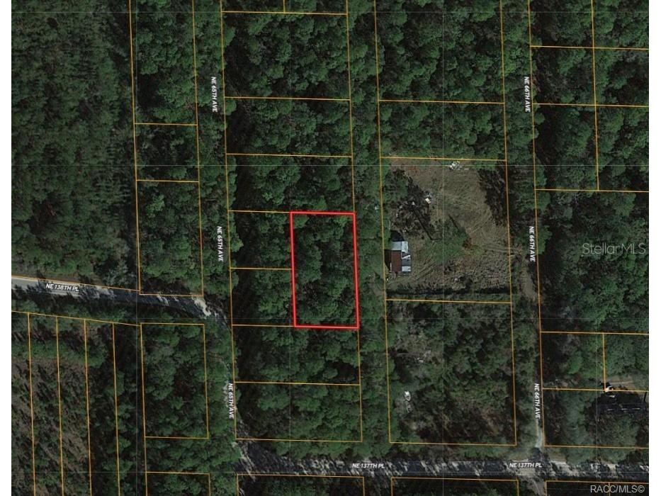 0000 NE 65th Court Citra FL 32113 OM718609 image1