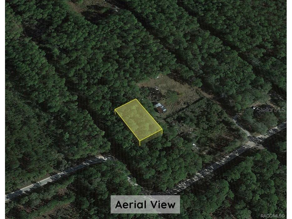 0000 NE 65th Court Citra FL 32113 OM718609 image5