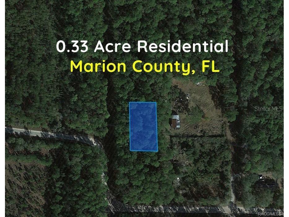 0000 NE 65th Court Citra FL 32113 OM718609 image6