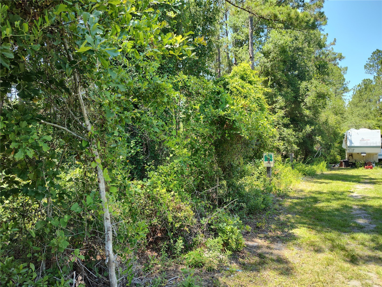 0000 NE 65th Court Citra FL 32113 OM718609 image8