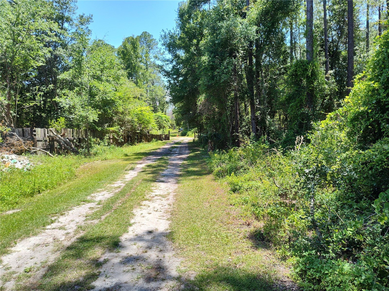 0000 NE 65th Court Citra FL 32113 OM718609 image9