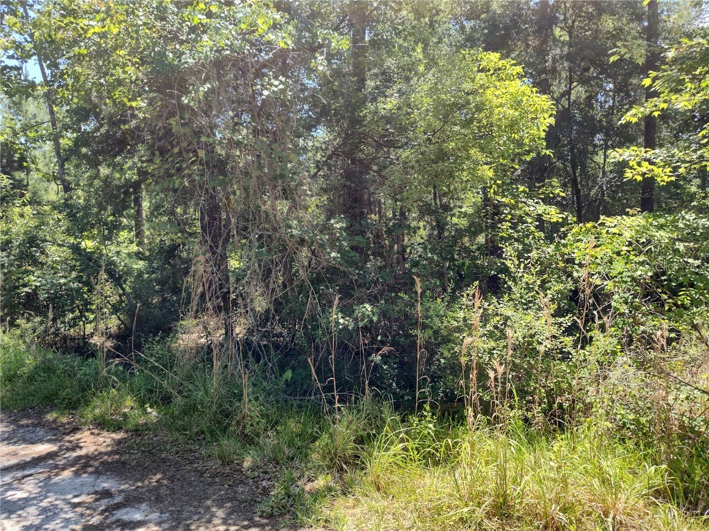 0000 NE 66th Avenue Citra FL 32113 OM699268 image2