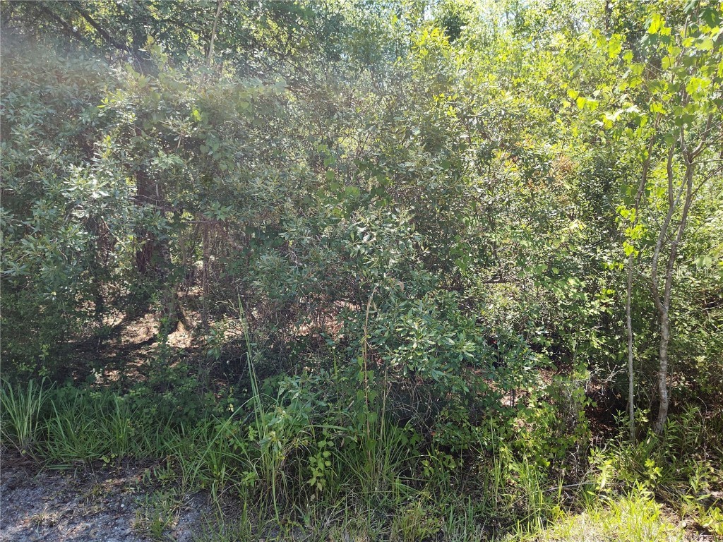 0000 NE 66th Avenue Citra FL 32113 OM699268 image3