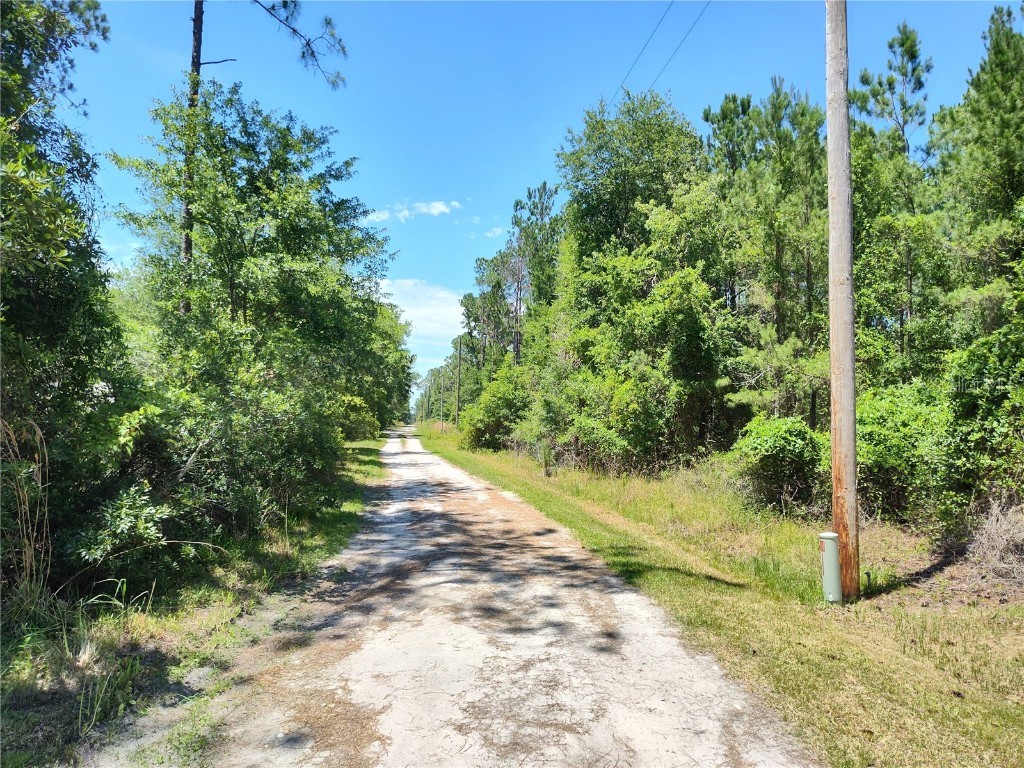 0000 NE 66th Avenue Citra FL 32113 OM699268 image4