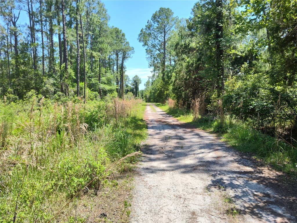 0000 NE 66th Avenue Citra FL 32113 OM699268 image5