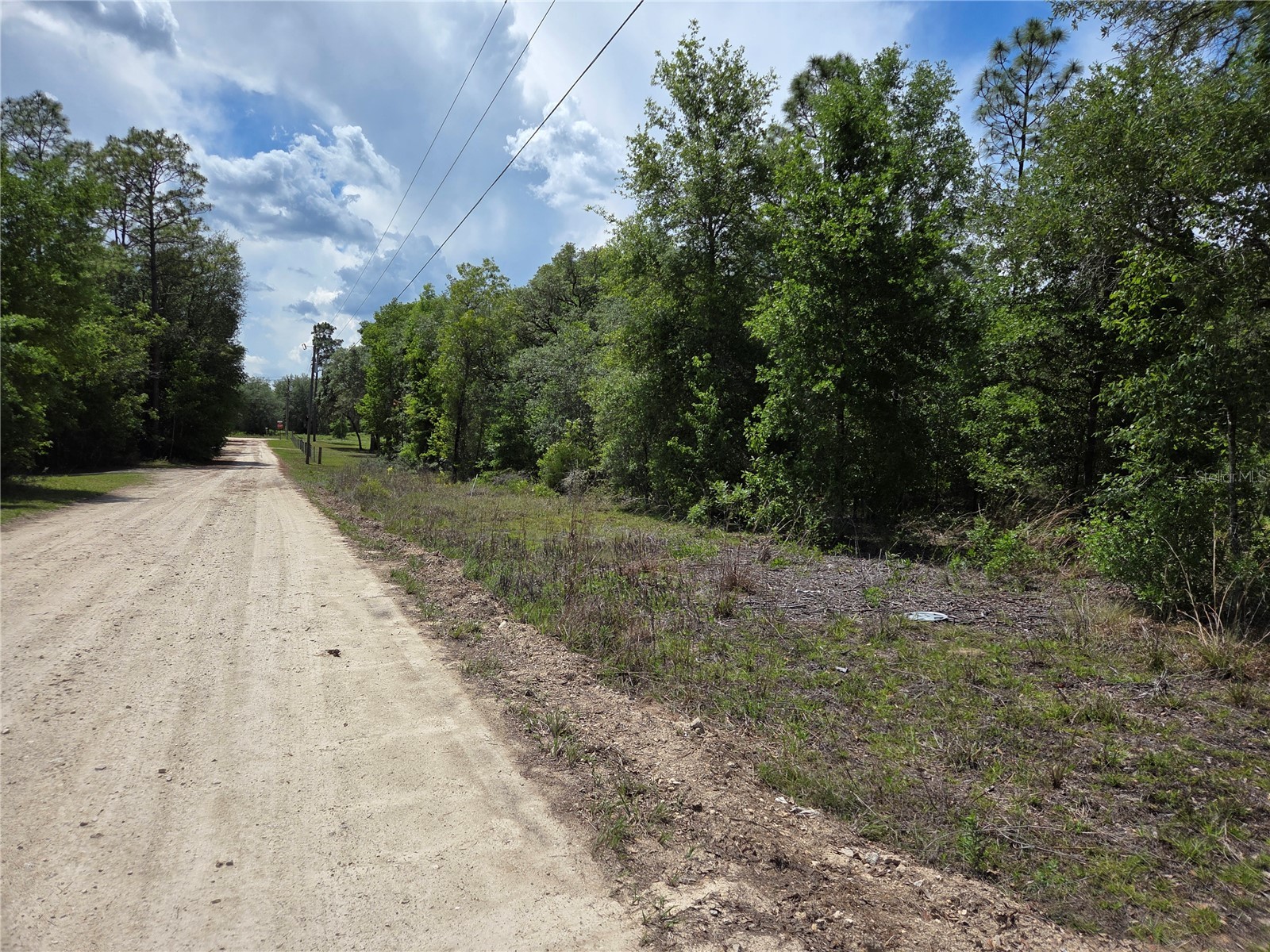0000 NE 73rd Lane Bronson FL 32621 OM724947 image1
