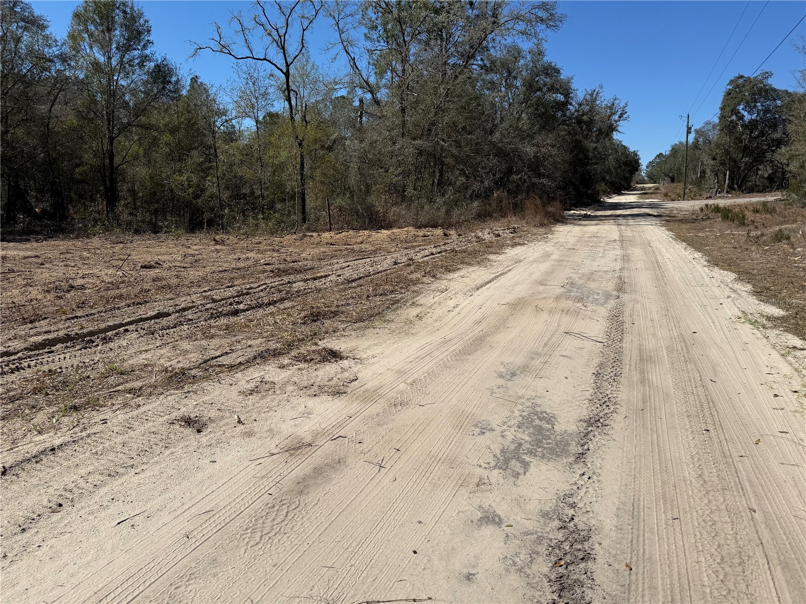 0000 NE 82nd Place Bronson FL 32621 OM718326 image2