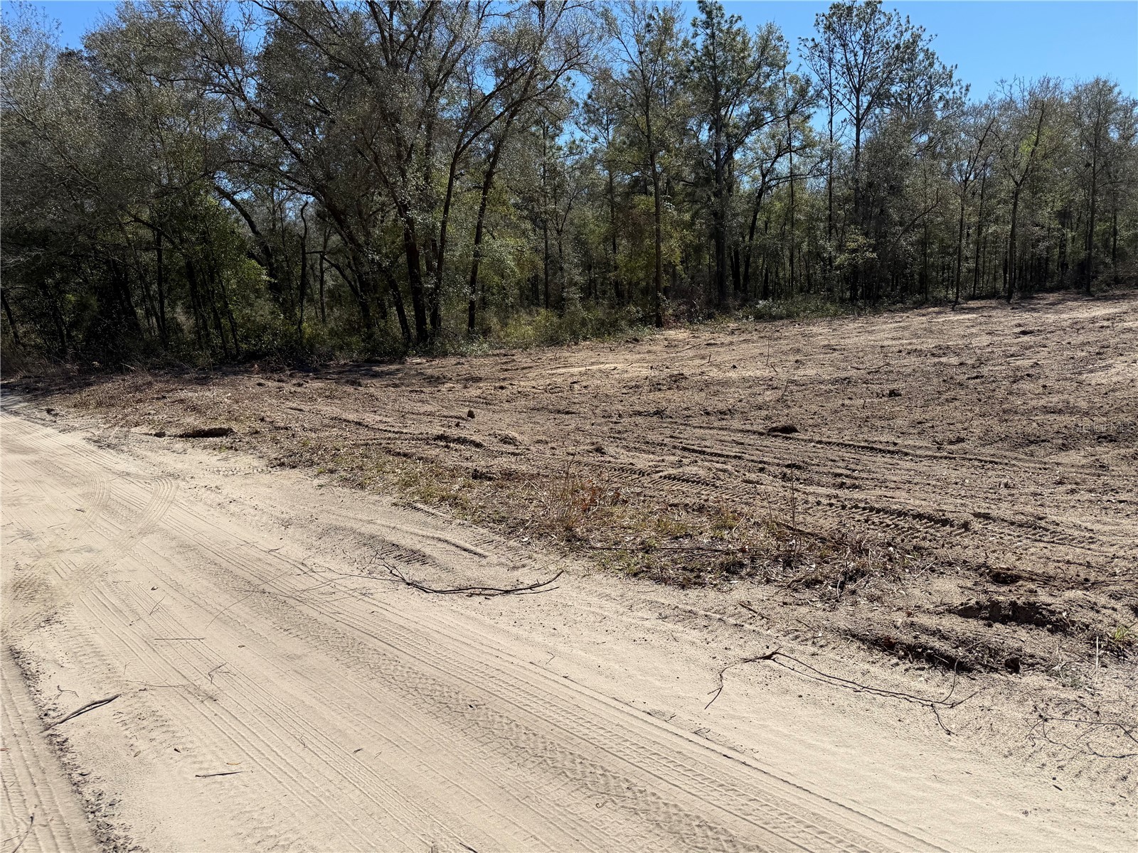 0000 NE 82nd Place Bronson FL 32621 OM718326 image3