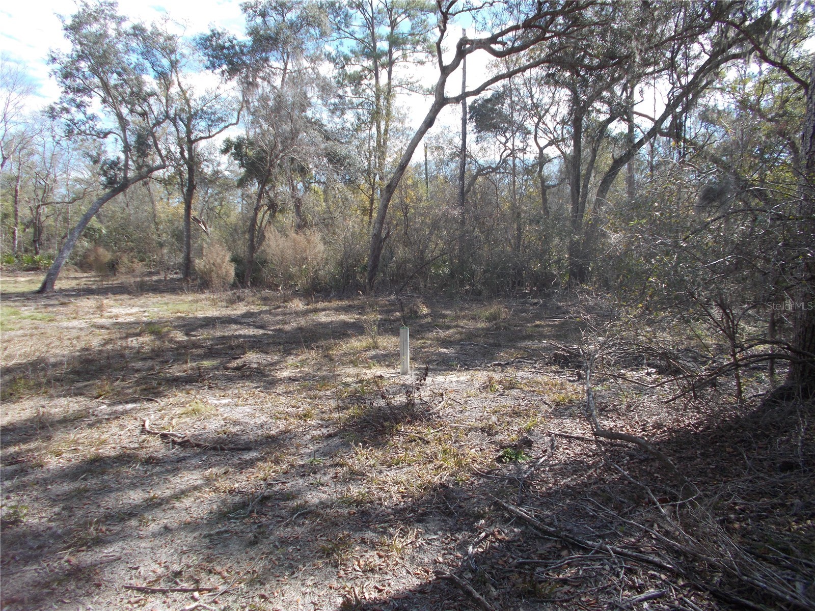 0000 NE 836th Street Old Town FL 32680 OM717612 image10