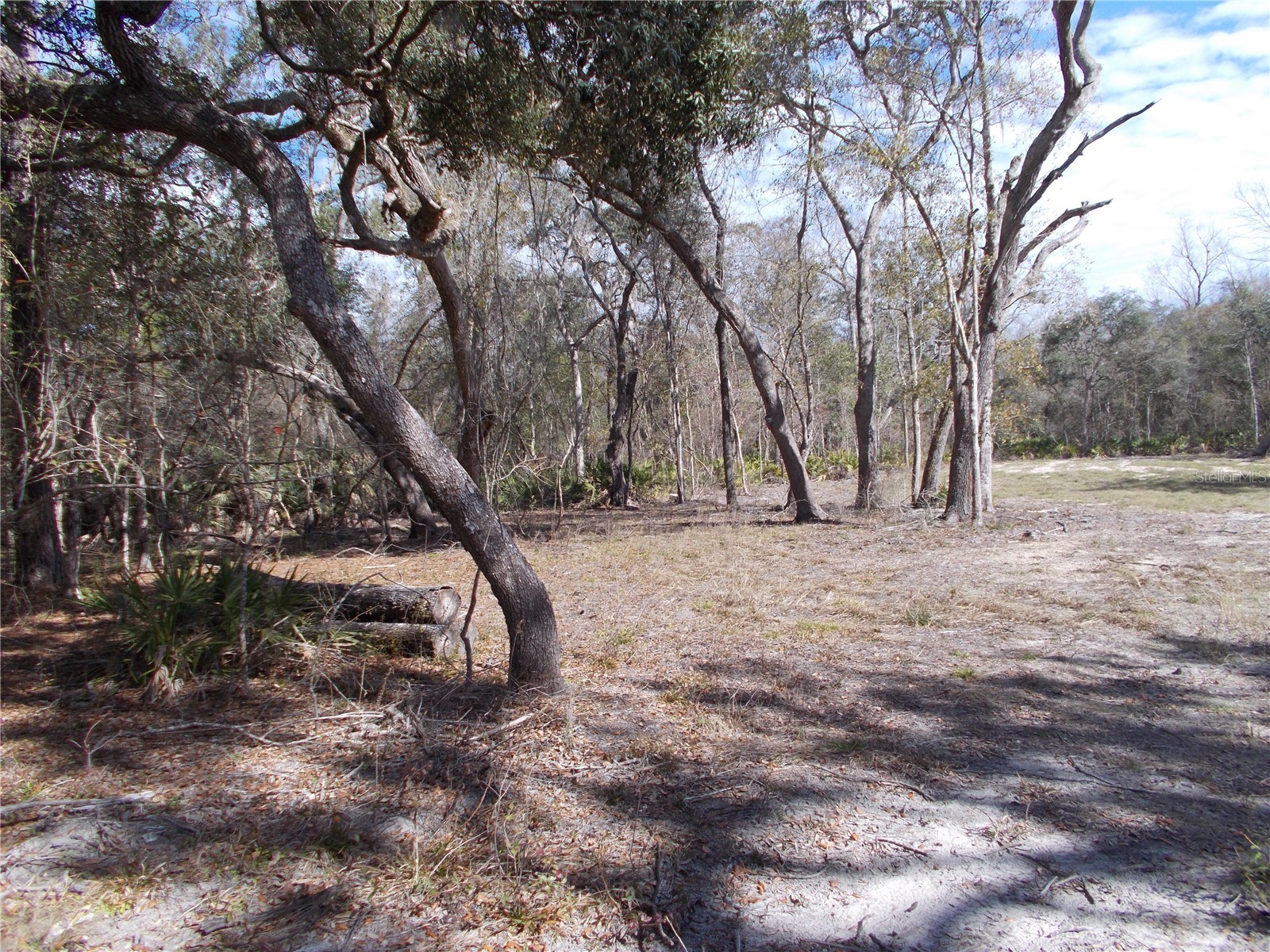0000 NE 836th Street Old Town FL 32680 OM717612 image11