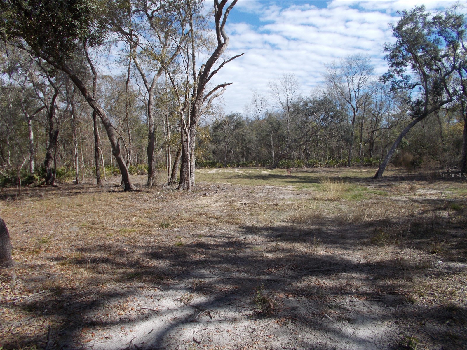 0000 NE 836th Street Old Town FL 32680 OM717612 image12