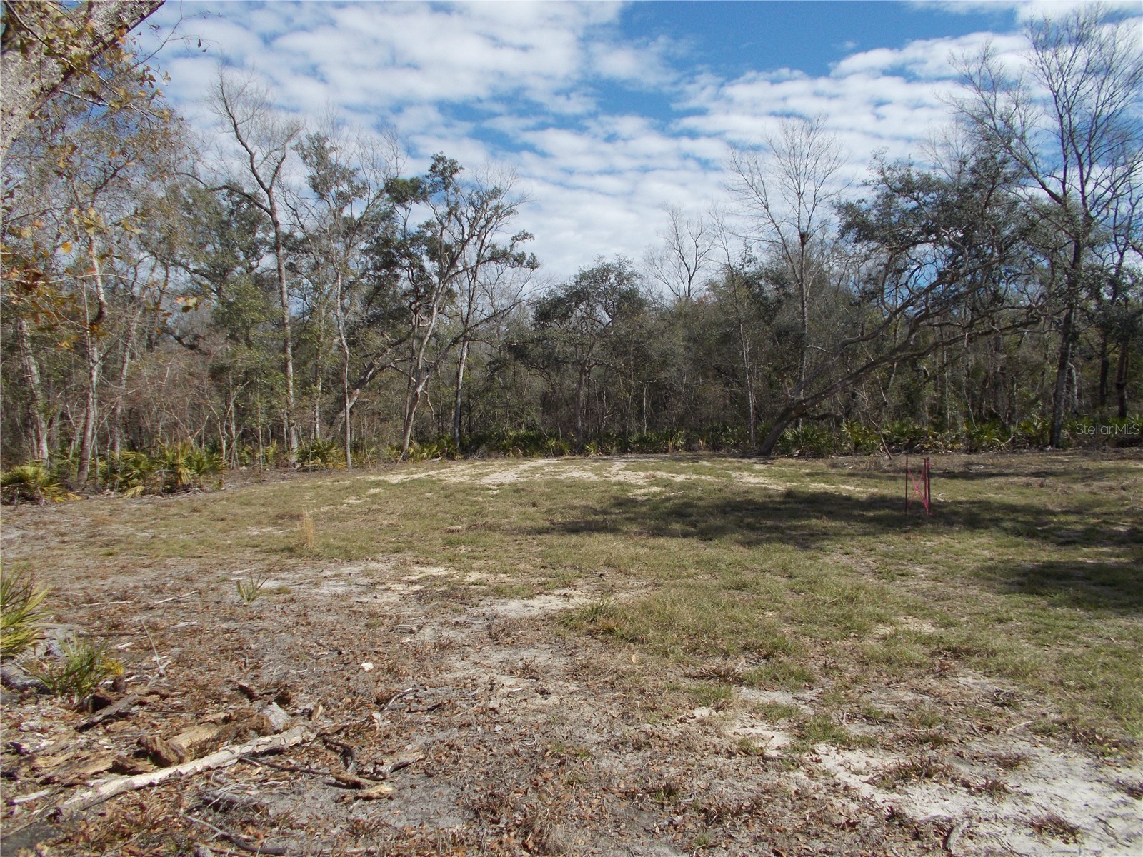 0000 NE 836th Street Old Town FL 32680 OM717612 image14