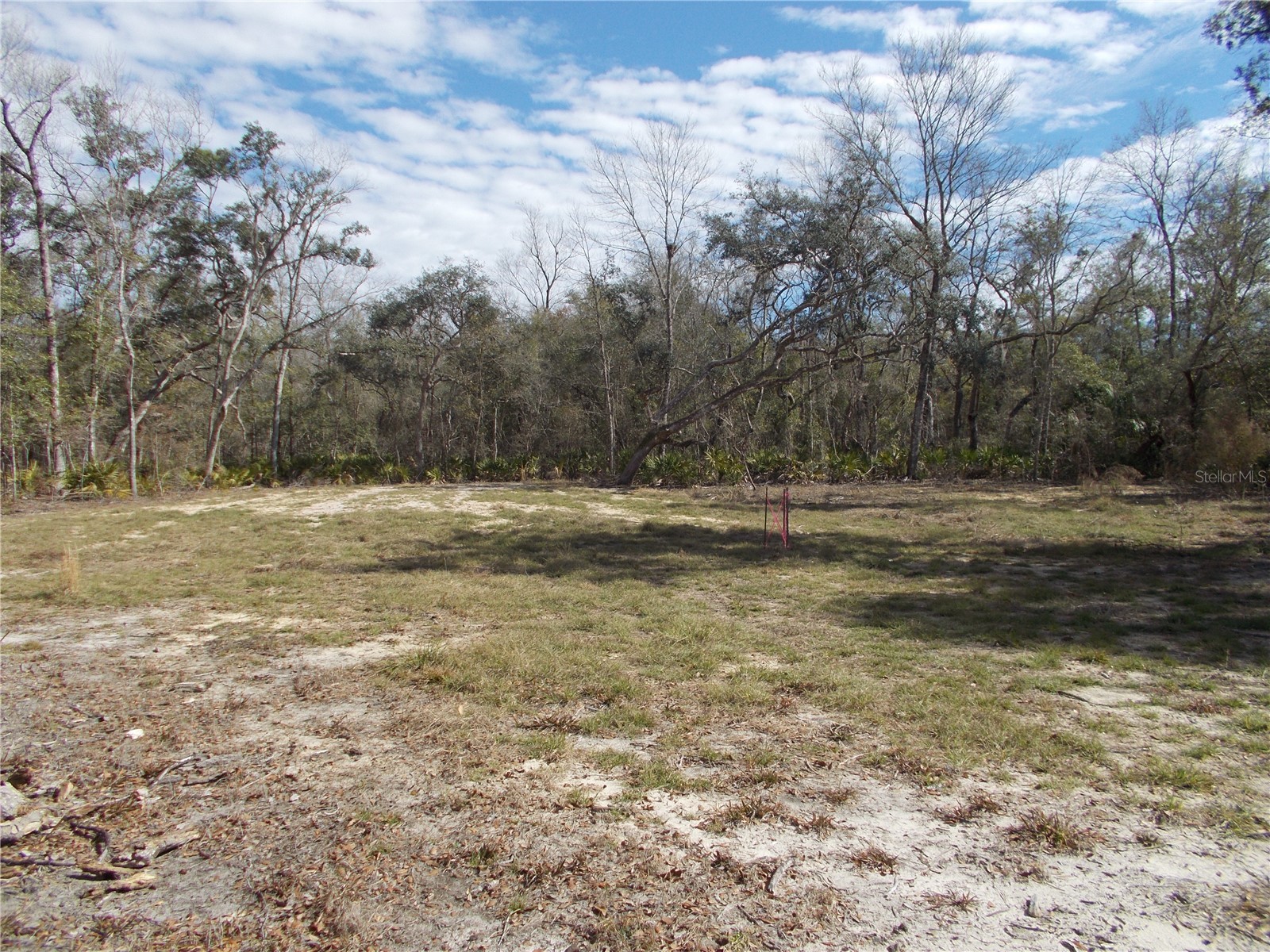 0000 NE 836th Street Old Town FL 32680 OM717612 image15