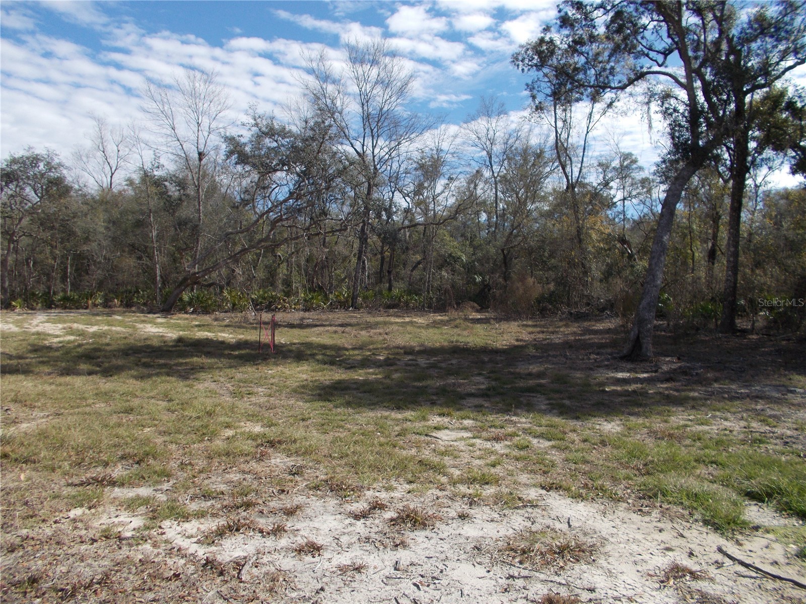 0000 NE 836th Street Old Town FL 32680 OM717612 image16