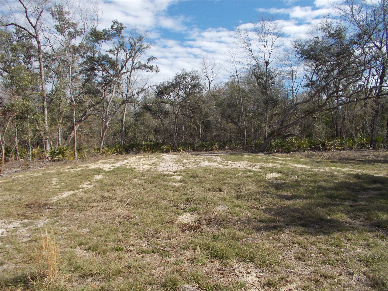 0000 NE 836th Street Old Town FL 32680 OM717612 image17