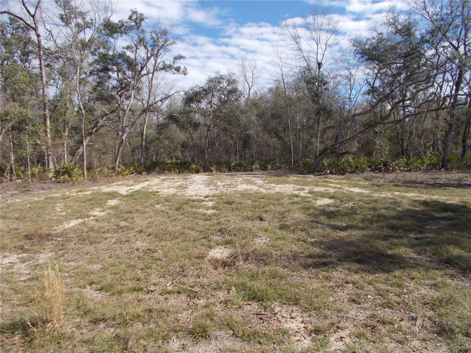 0000 NE 836th Street Old Town FL 32680 OM717612 image18