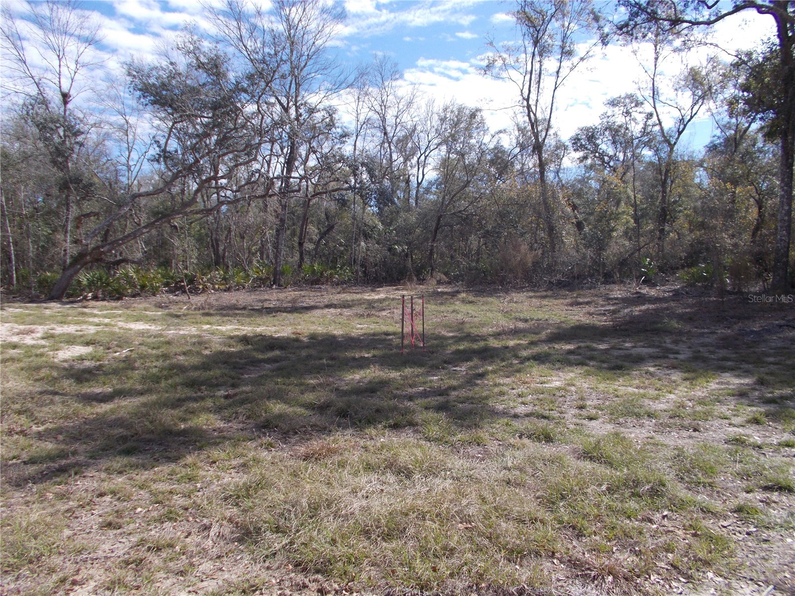 0000 NE 836th Street Old Town FL 32680 OM717612 image19