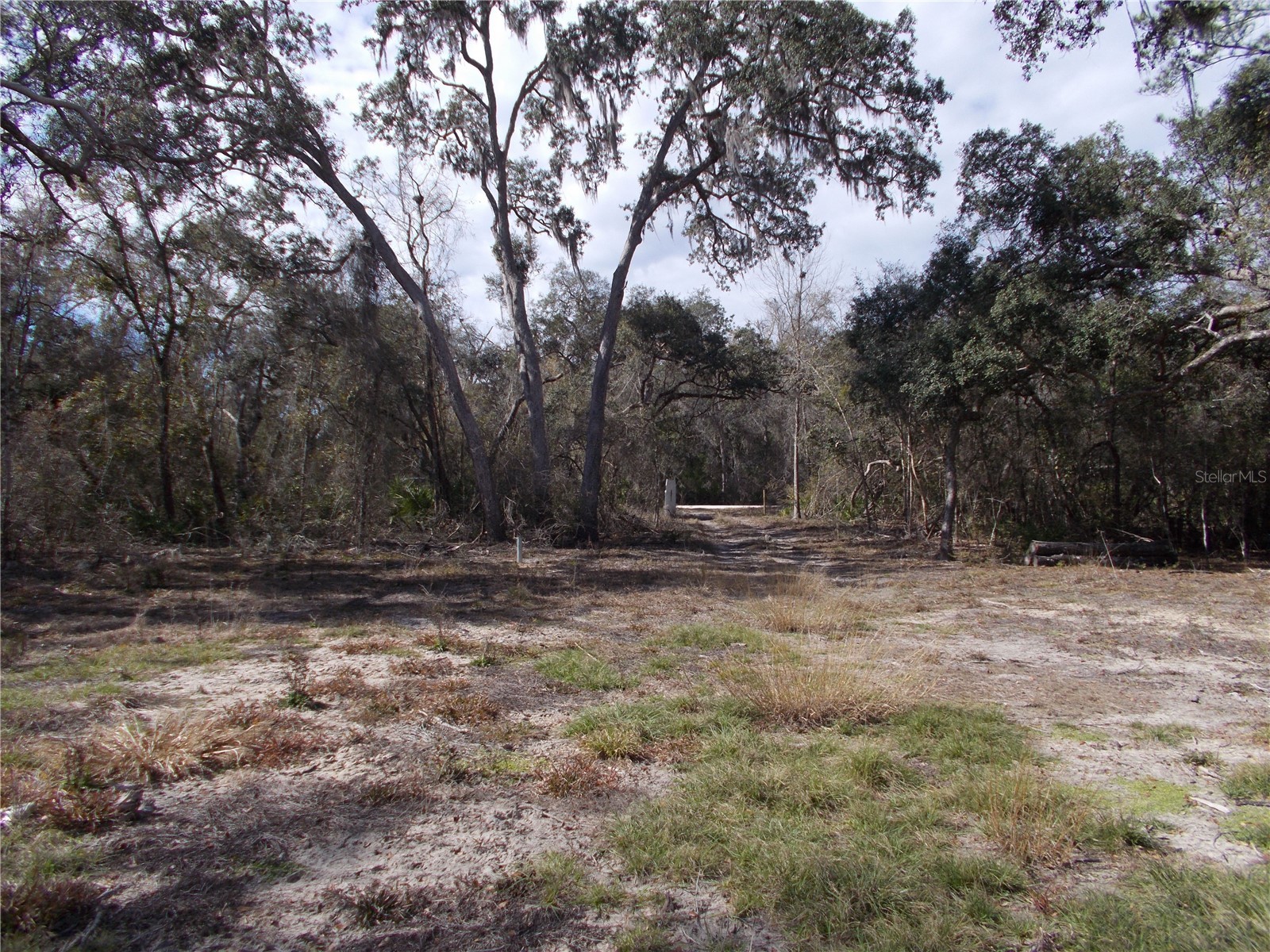 0000 NE 836th Street Old Town FL 32680 OM717612 image24