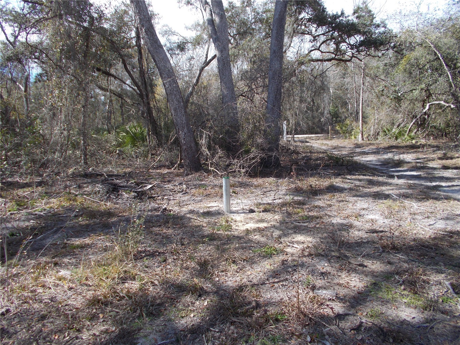 0000 NE 836th Street Old Town FL 32680 OM717612 image26