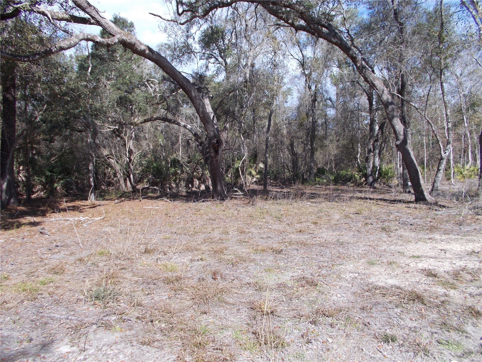 0000 NE 836th Street Old Town FL 32680 OM717612 image27
