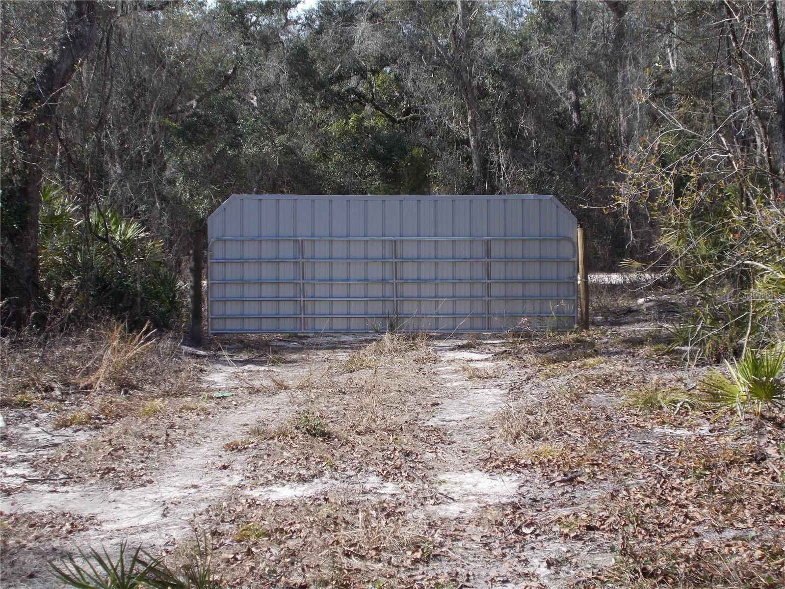 0000 NE 836th Street Old Town FL 32680 OM717612 image31