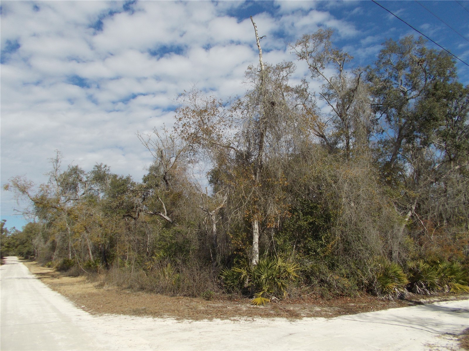 0000 NE 836th Street Old Town FL 32680 OM717612 image36