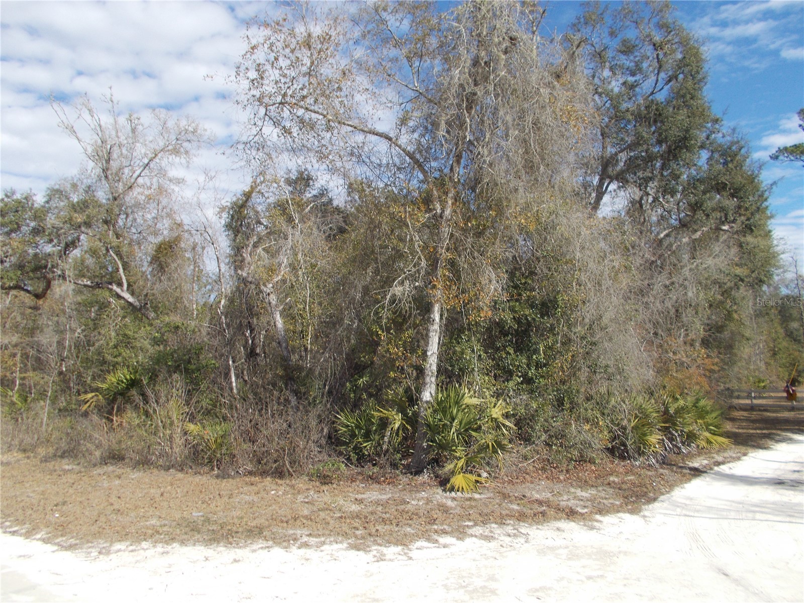 0000 NE 836th Street Old Town FL 32680 OM717612 image37