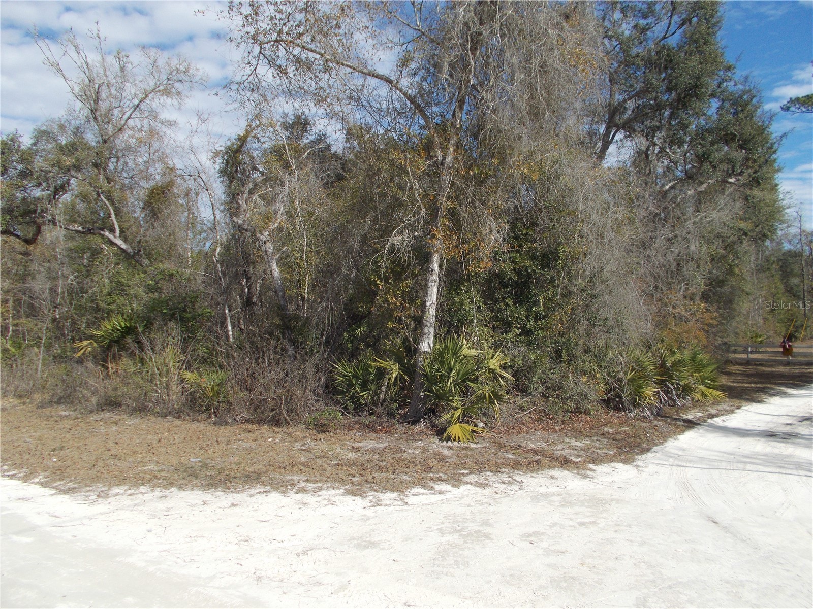0000 NE 836th Street Old Town FL 32680 OM717612 image38