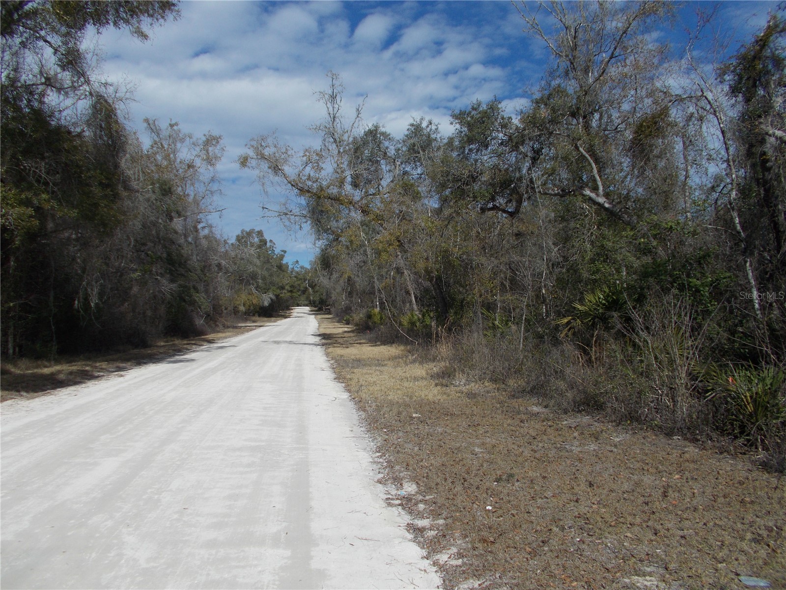 0000 NE 836th Street Old Town FL 32680 OM717612 image4