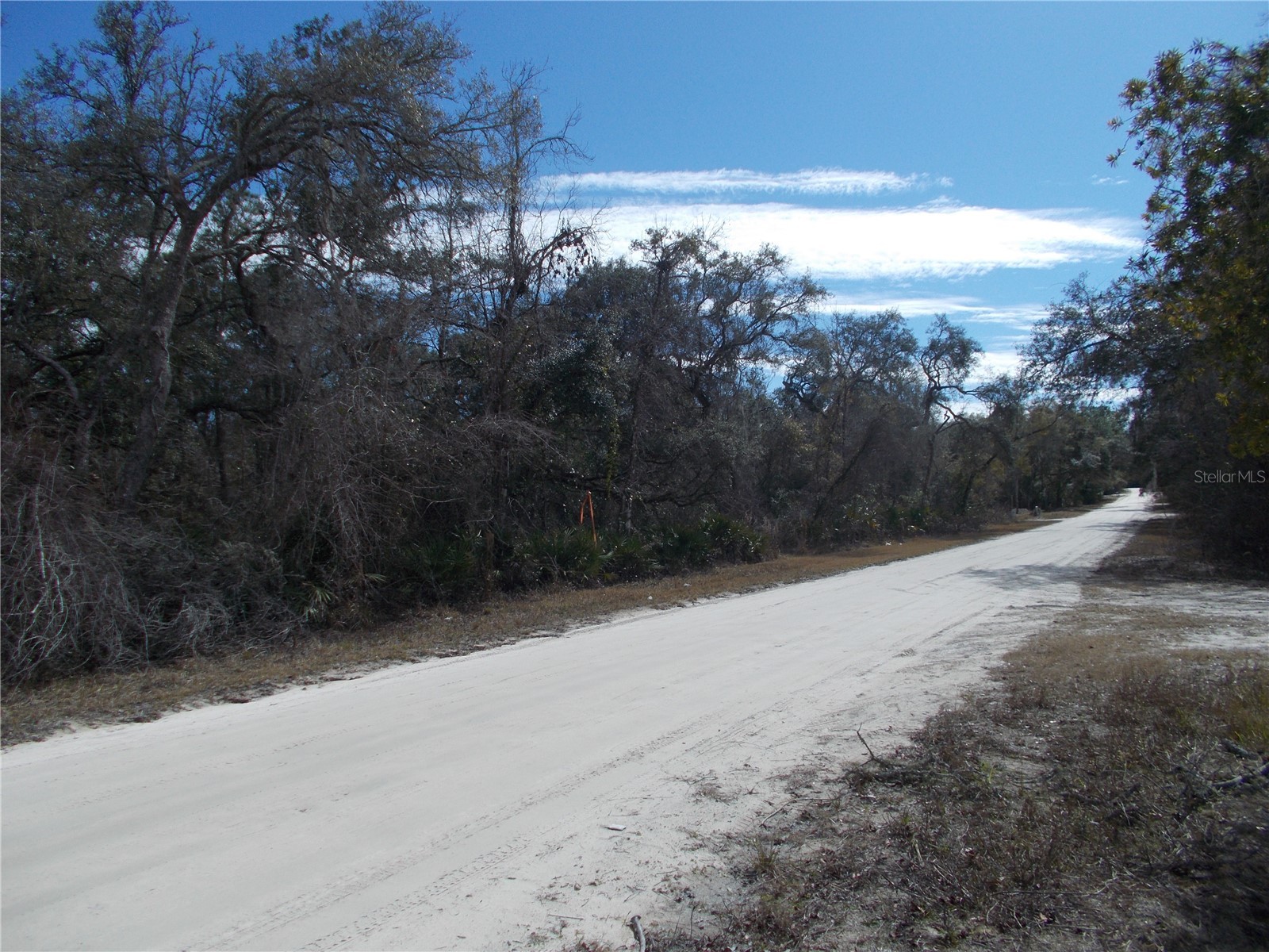 0000 NE 836th Street Old Town FL 32680 OM717612 image41