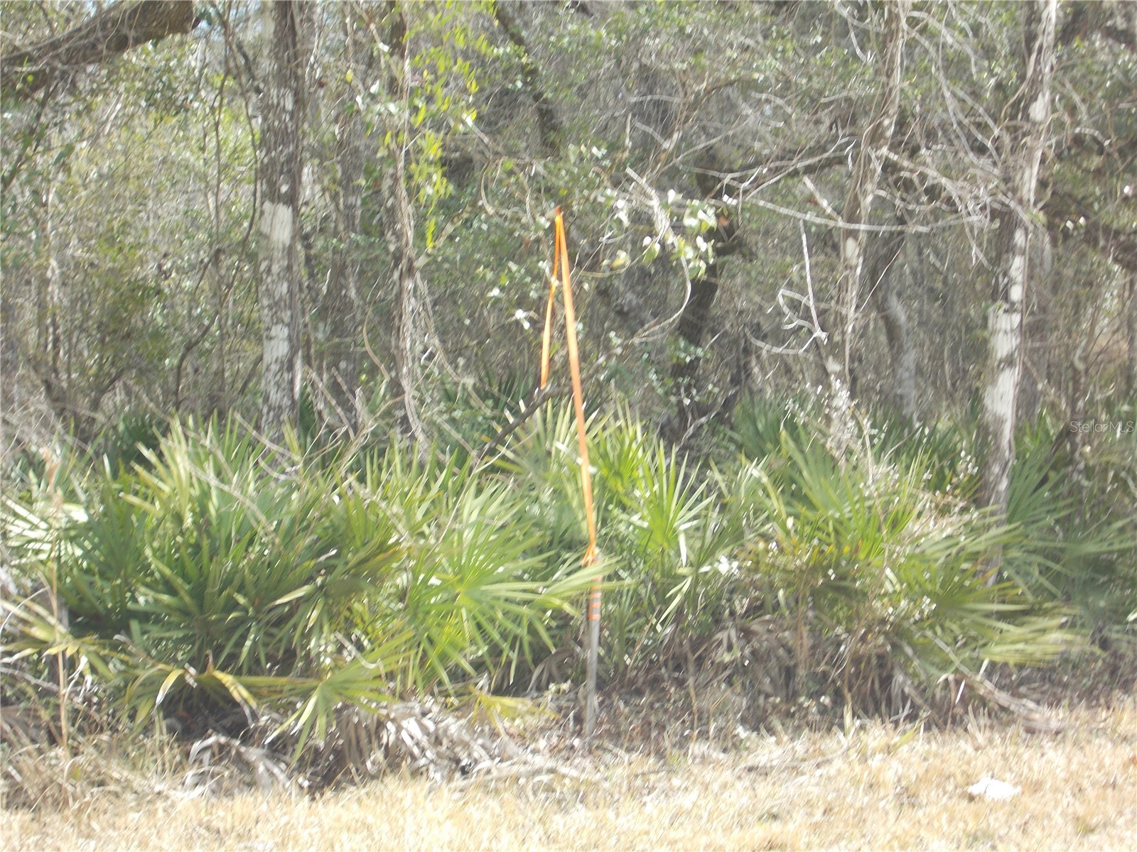 0000 NE 836th Street Old Town FL 32680 OM717612 image42