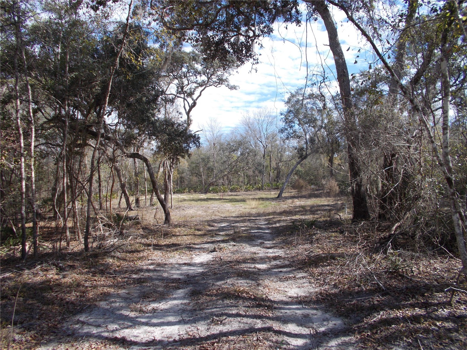 0000 NE 836th Street Old Town FL 32680 OM717612 image8