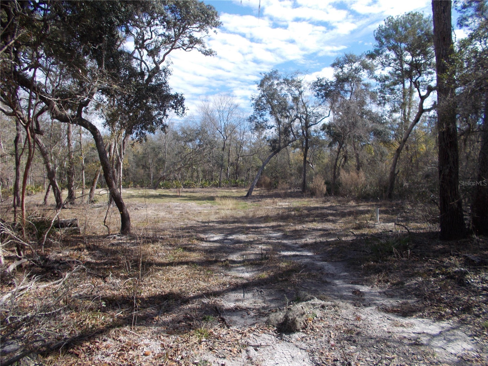 0000 NE 836th Street Old Town FL 32680 OM717612 image9