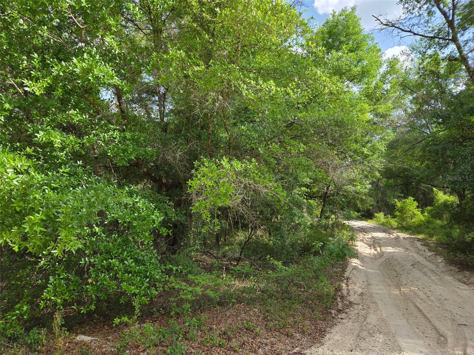0000 NE 85th Street Bronson FL 32621 OM724668 image4