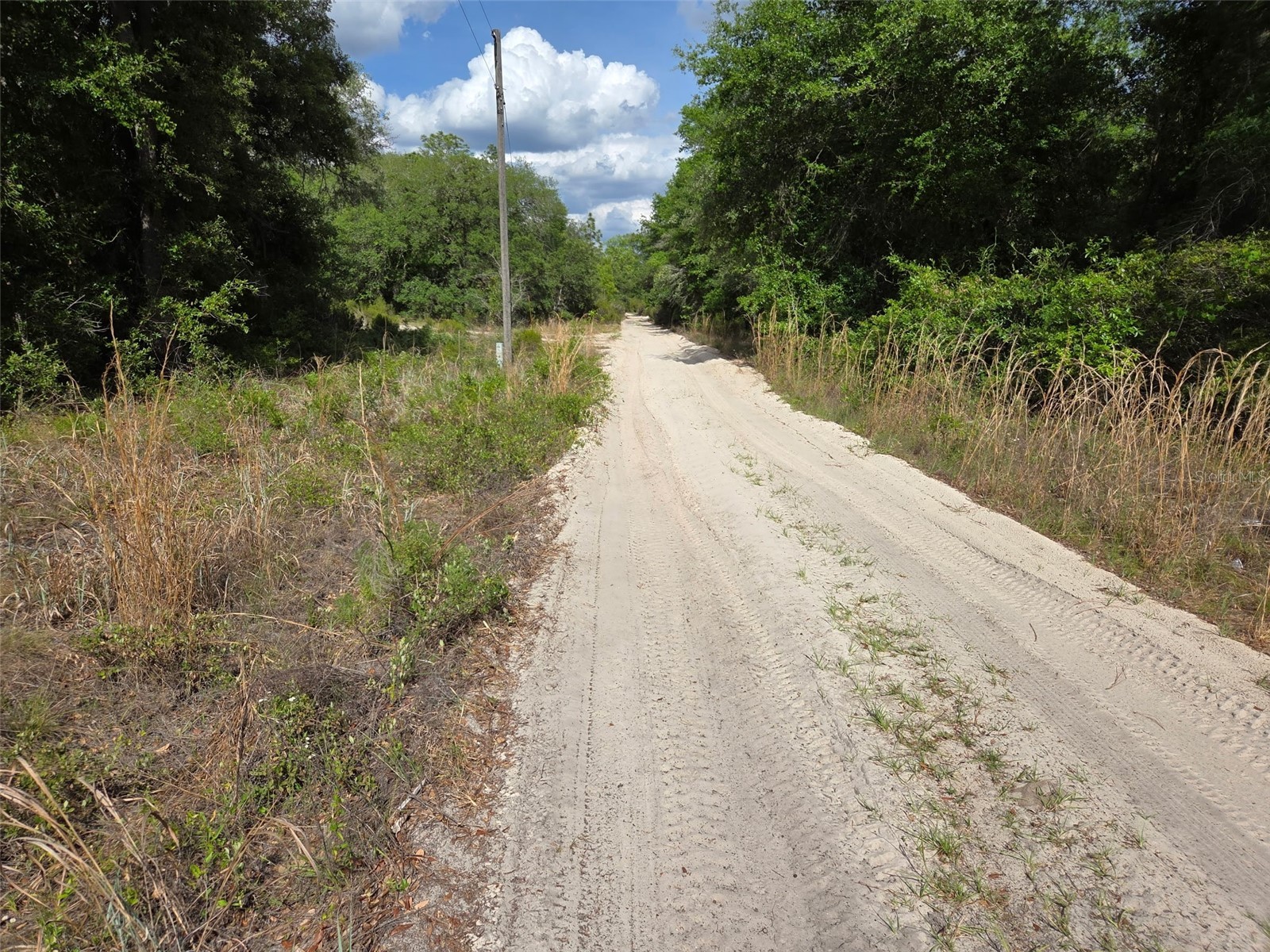 0000 NE 85th Street Bronson FL 32621 OM724668 image8