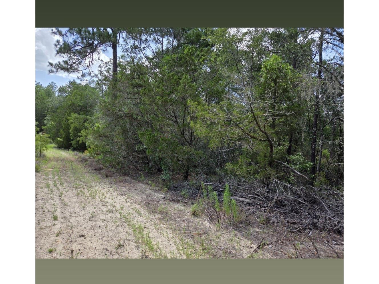 0000 NE 95th Street Archer FL 32618 OM728586 image4