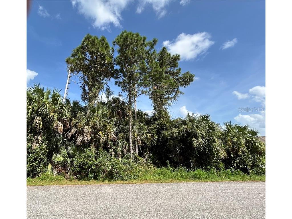 0000 New Milford Street North Port FL 34288 N6134449 image1