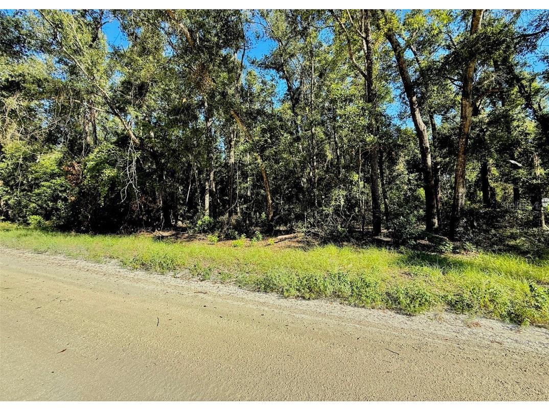 0000 NW 282 Terrace Branford FL 32008 GC533853 image1