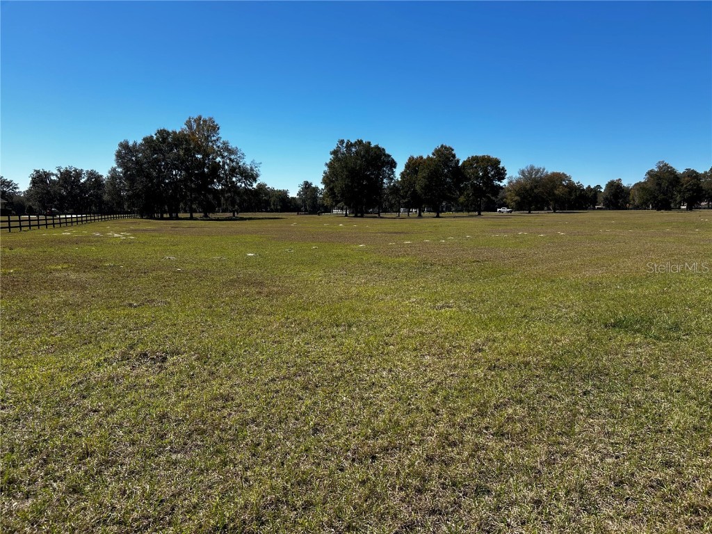 0000 NW 464b Morriston FL 32668 OM673020 image12