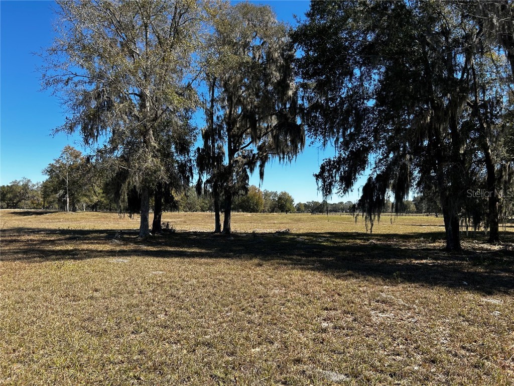 0000 NW 464b Morriston FL 32668 OM673020 image13