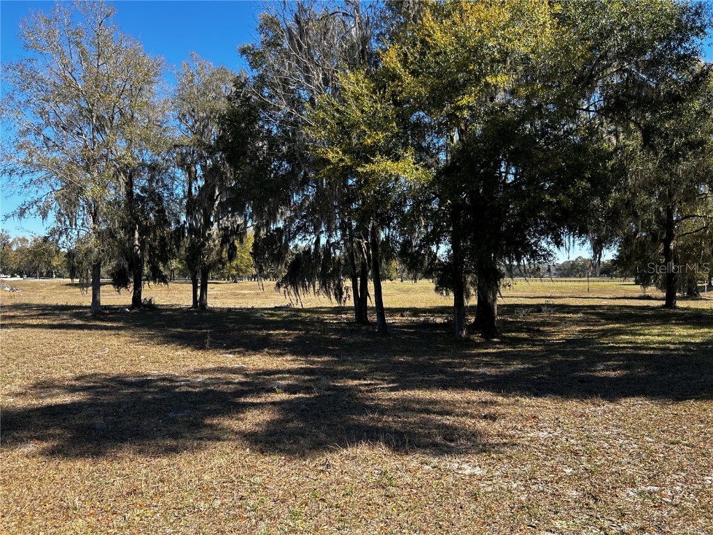 0000 NW 464b Morriston FL 32668 OM673020 image14