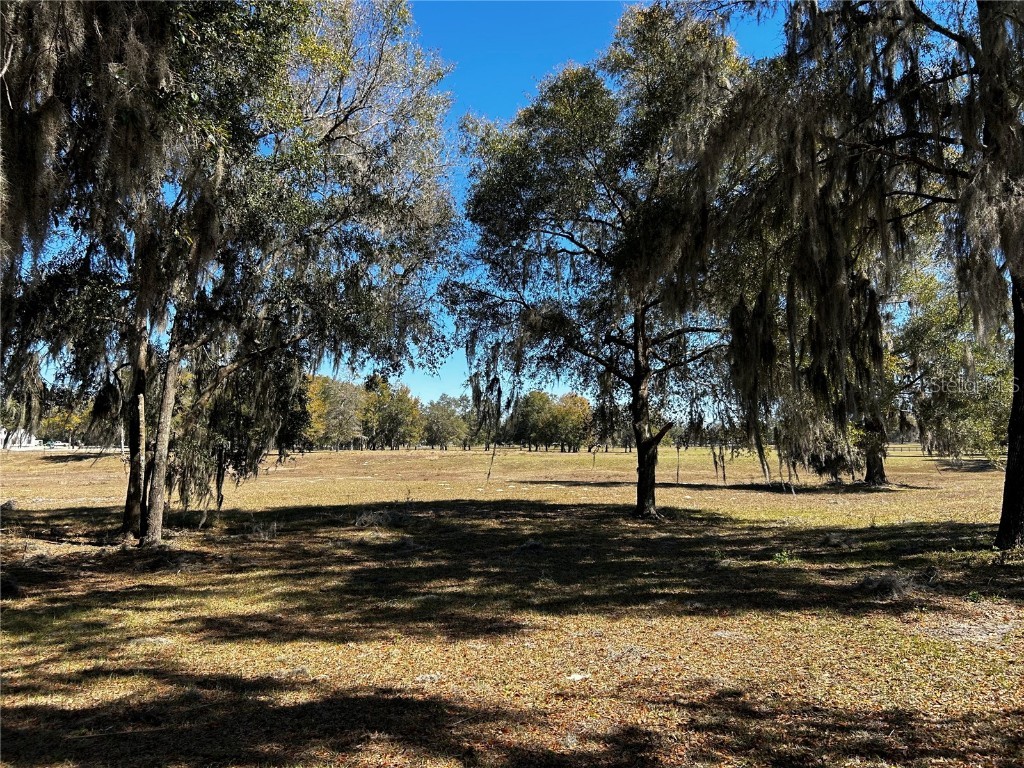 0000 NW 464b Morriston FL 32668 OM673020 image15