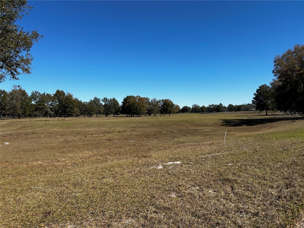 0000 NW 464b Morriston FL 32668 OM673020 image16