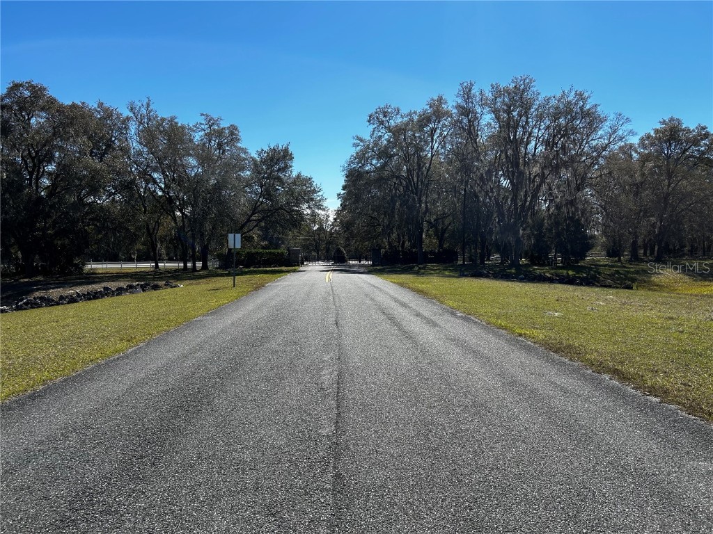 0000 NW 464b Morriston FL 32668 OM673020 image18