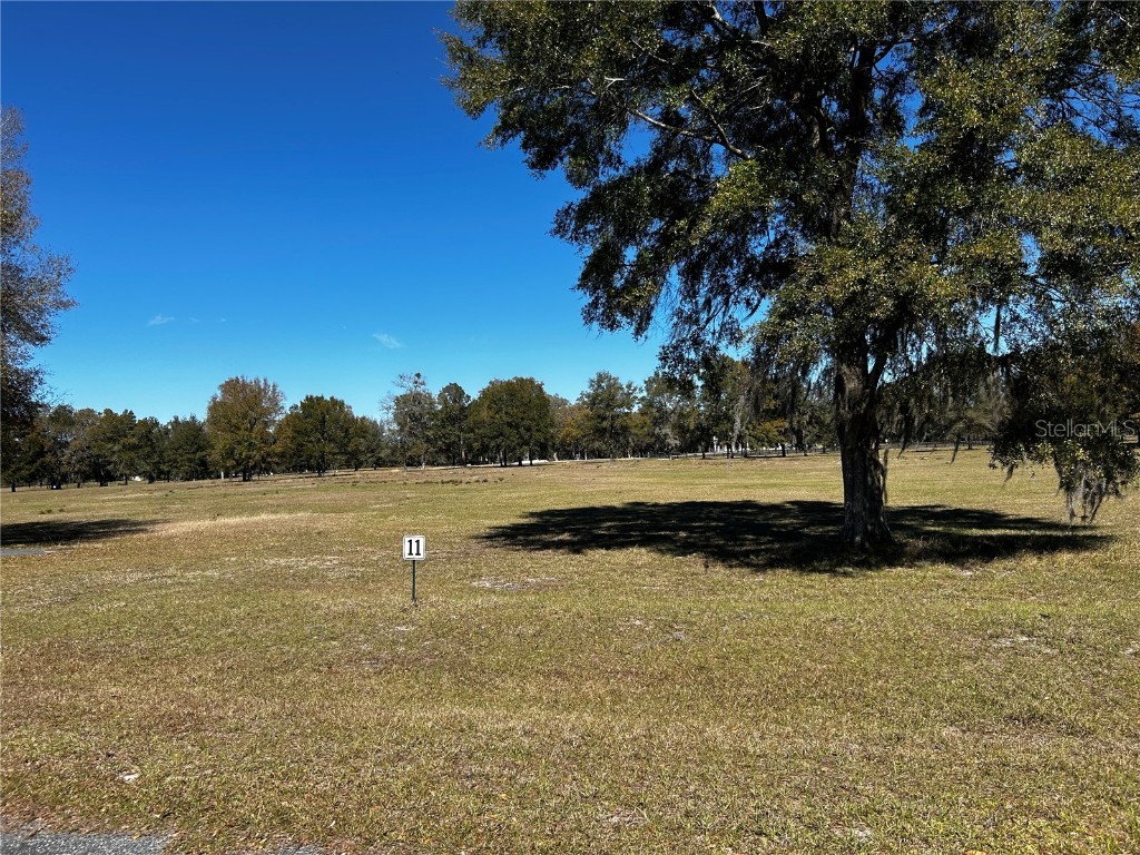 0000 NW 464b Morriston FL 32668 OM673020 image4