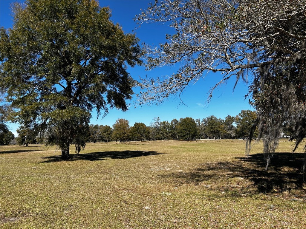 0000 NW 464b Morriston FL 32668 OM673020 image5